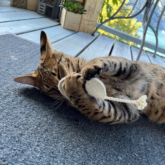 Premium Katzenspielzeug Duftmaus "Bio" Baldrian - Spielzeugmaus