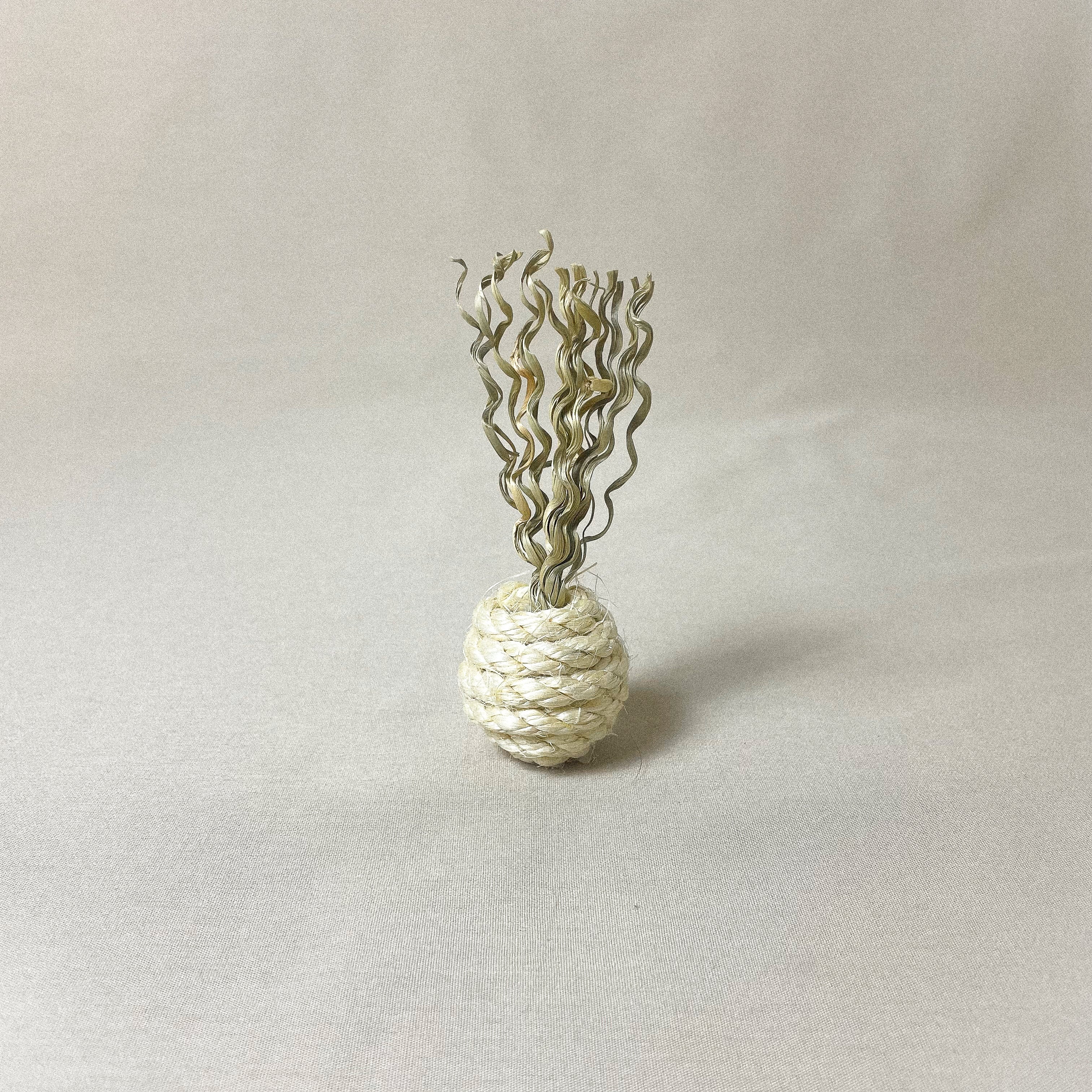 Premium Katzenspielzeug Bällchen mit Federn  2.5 cm - 5cm
