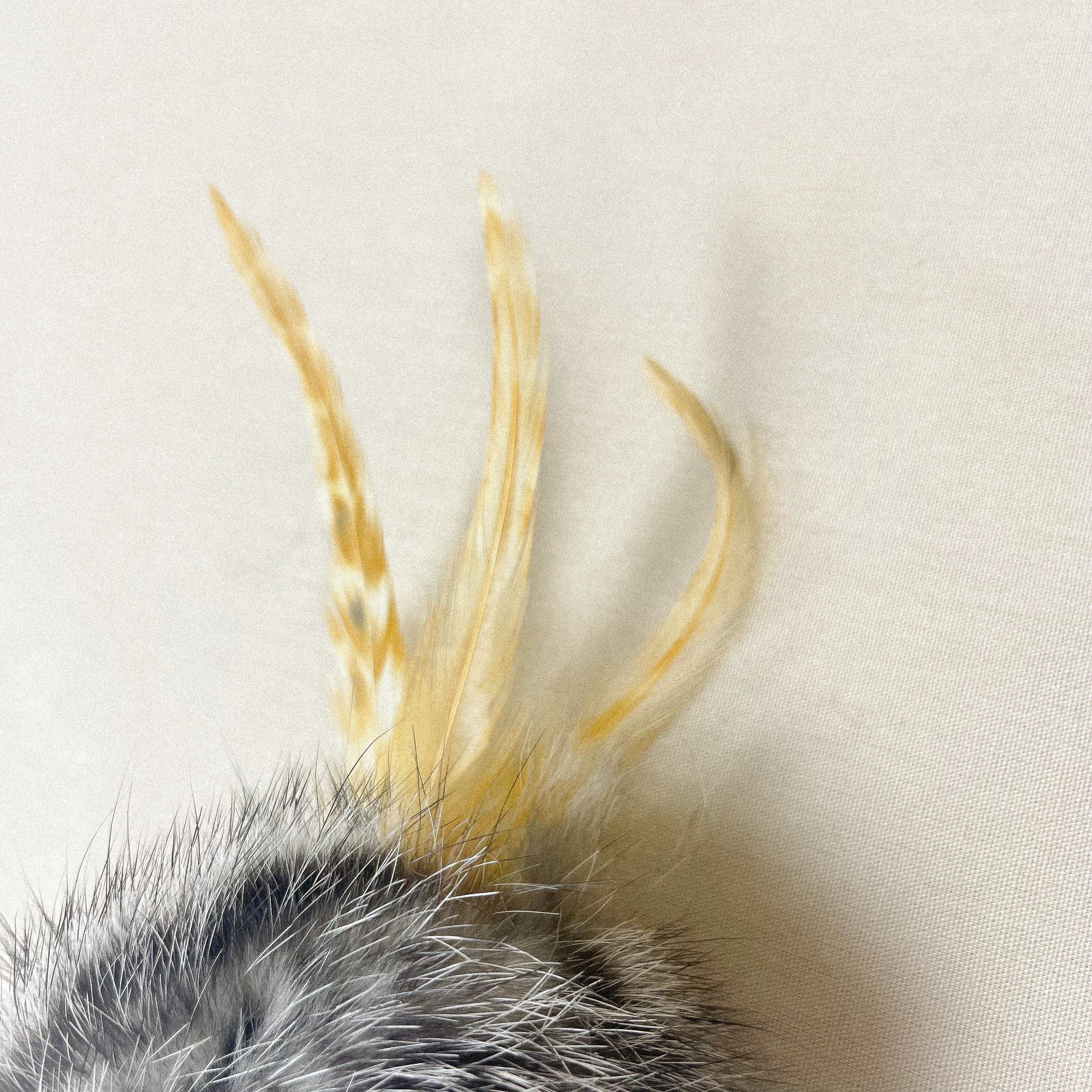 Premium Katzenspielzeug Bällchen mit Federn  2.5 cm - 5cm