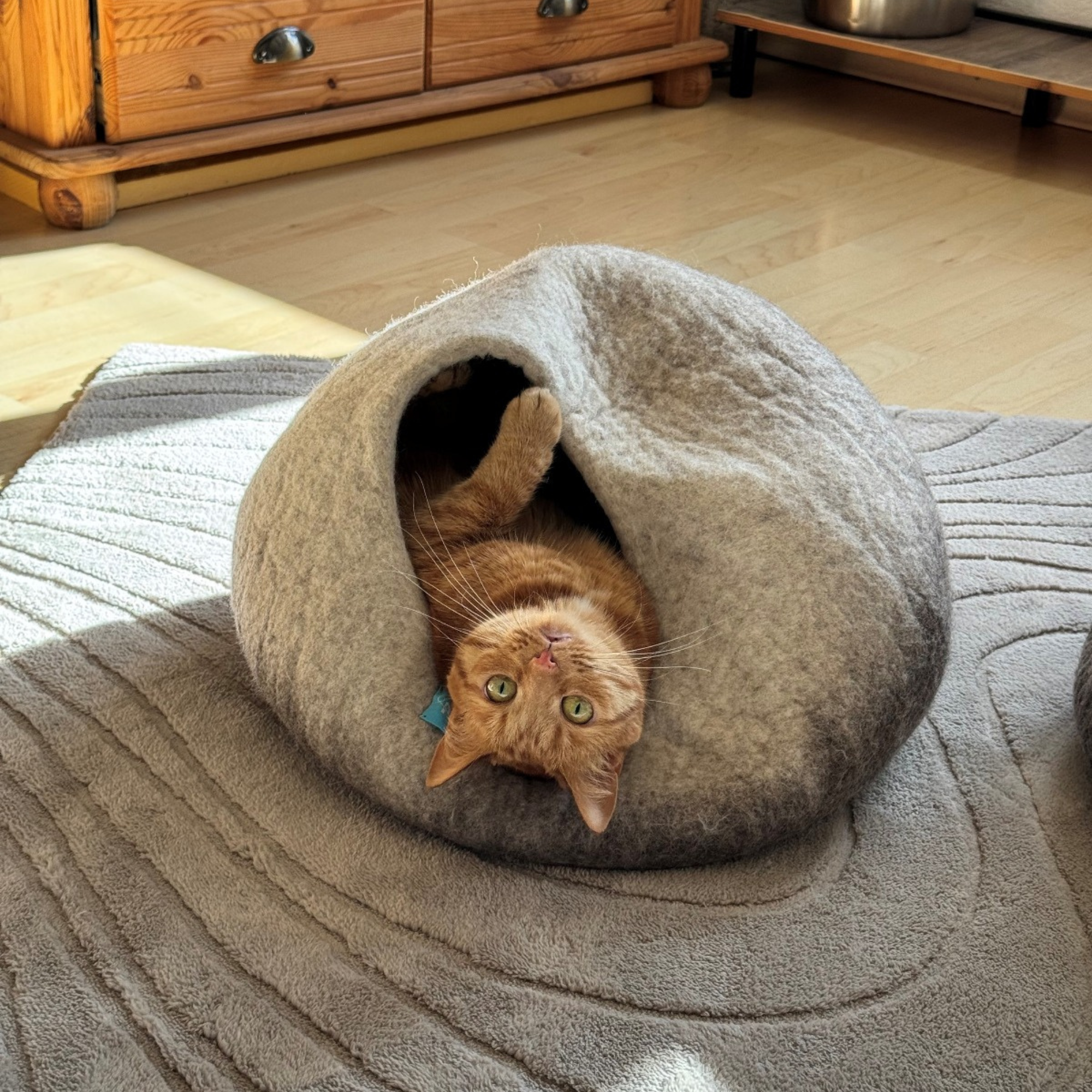 Katzenhöhle Filz – Handgefertigt aus 100 % Schafwolle beige rund