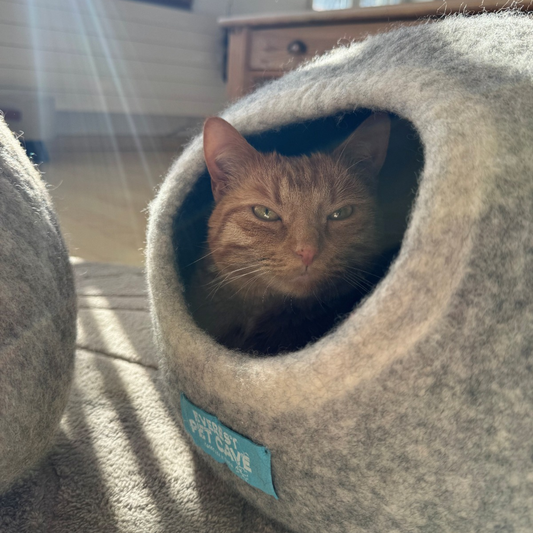 Katzenhöhle Filz – Handgefertigt aus 100 % Schafwolle grau rund