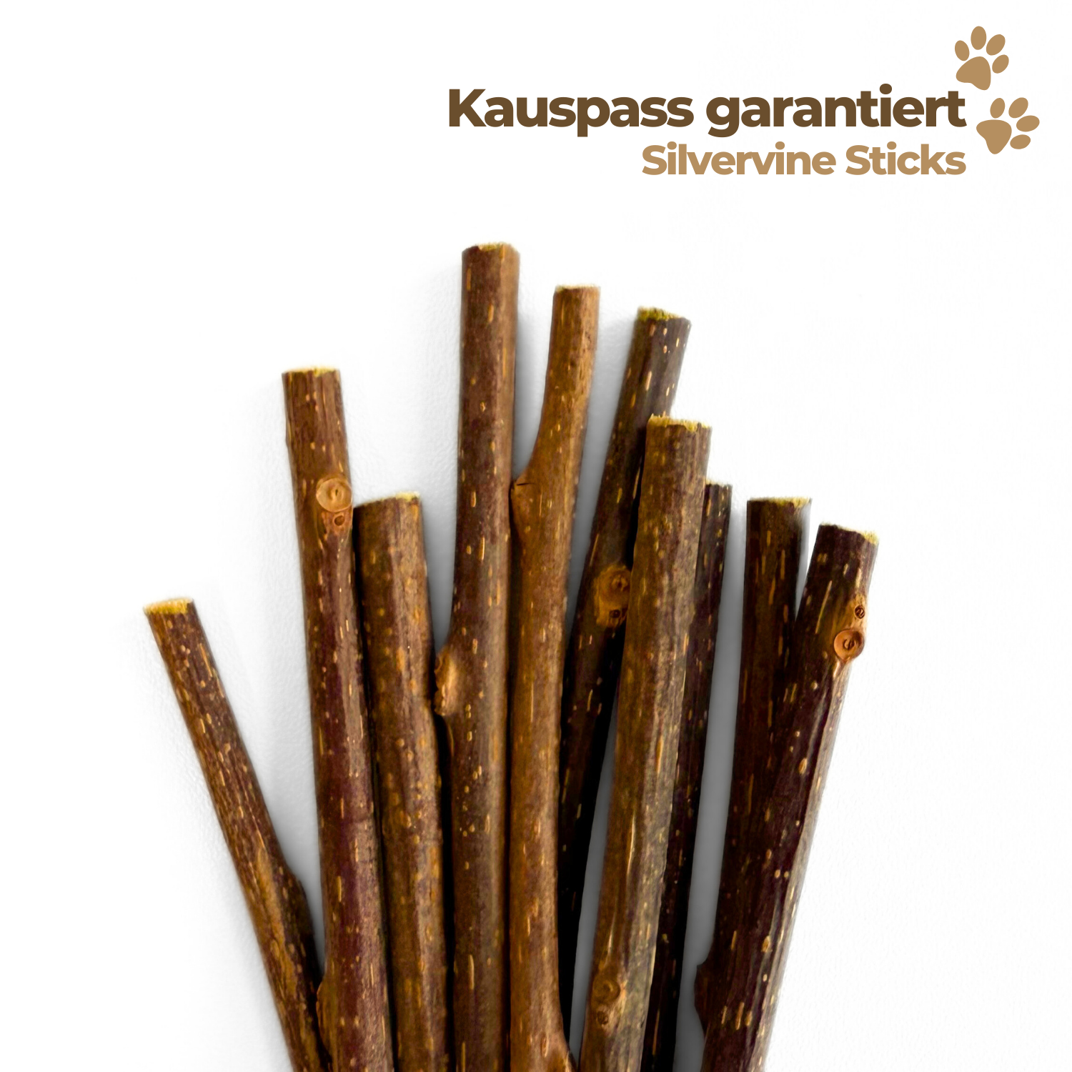 NASH & CO Silvervine Katzen-Kausticks