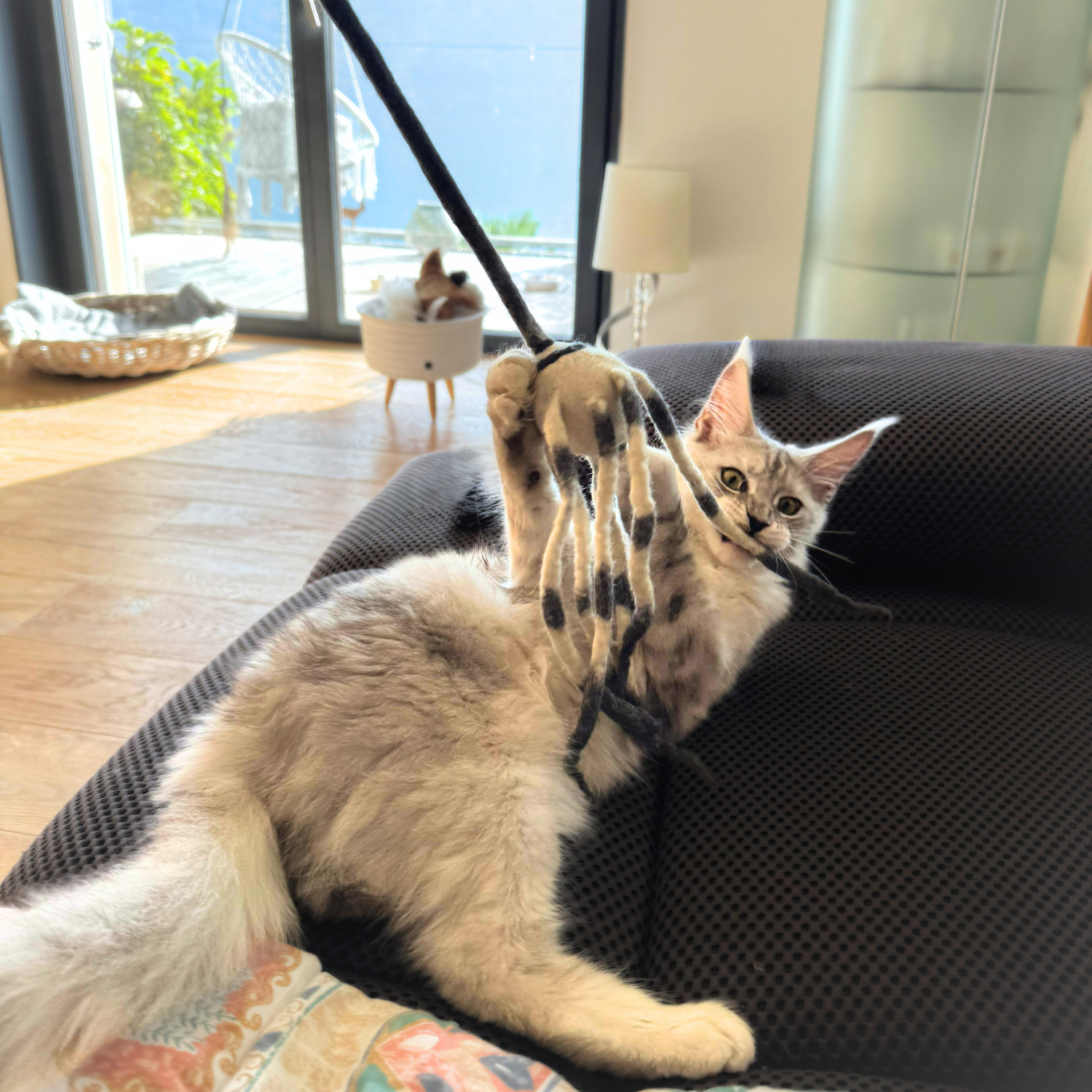 Premium Katzenspielzeug Filz-Tintenfisch “Marly” - aus 100 % Schafwolle & integrierter Klangkugel