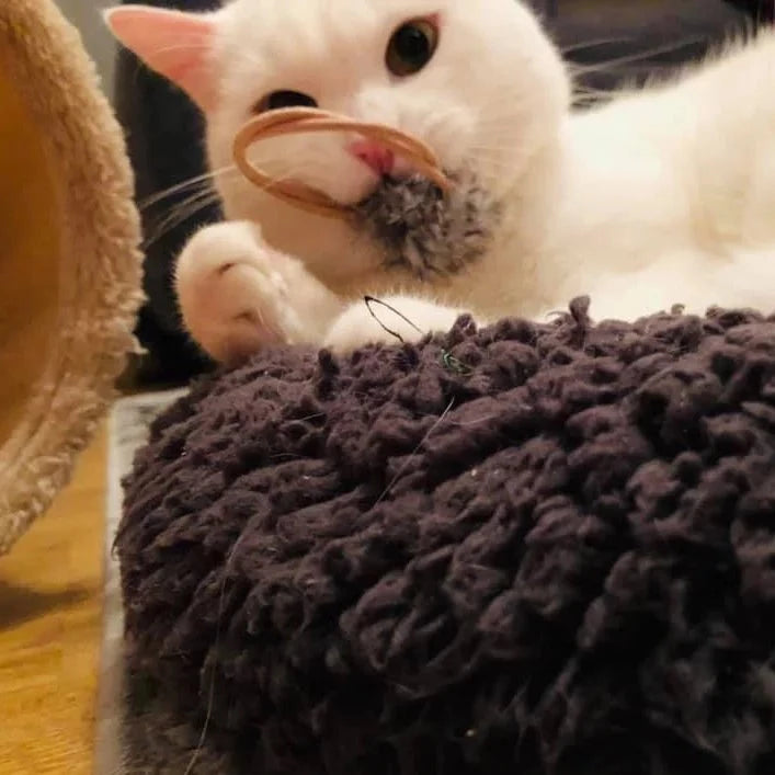Premium Katzenspielzeug Ledergummi