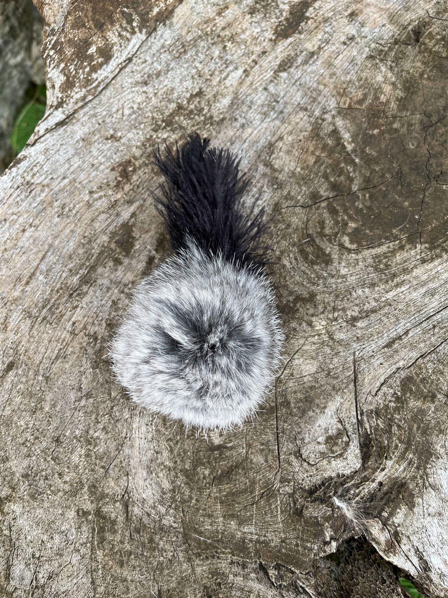 Premium Katzenspielzeug Bällchen mit Federn  2.5 cm - 5cm