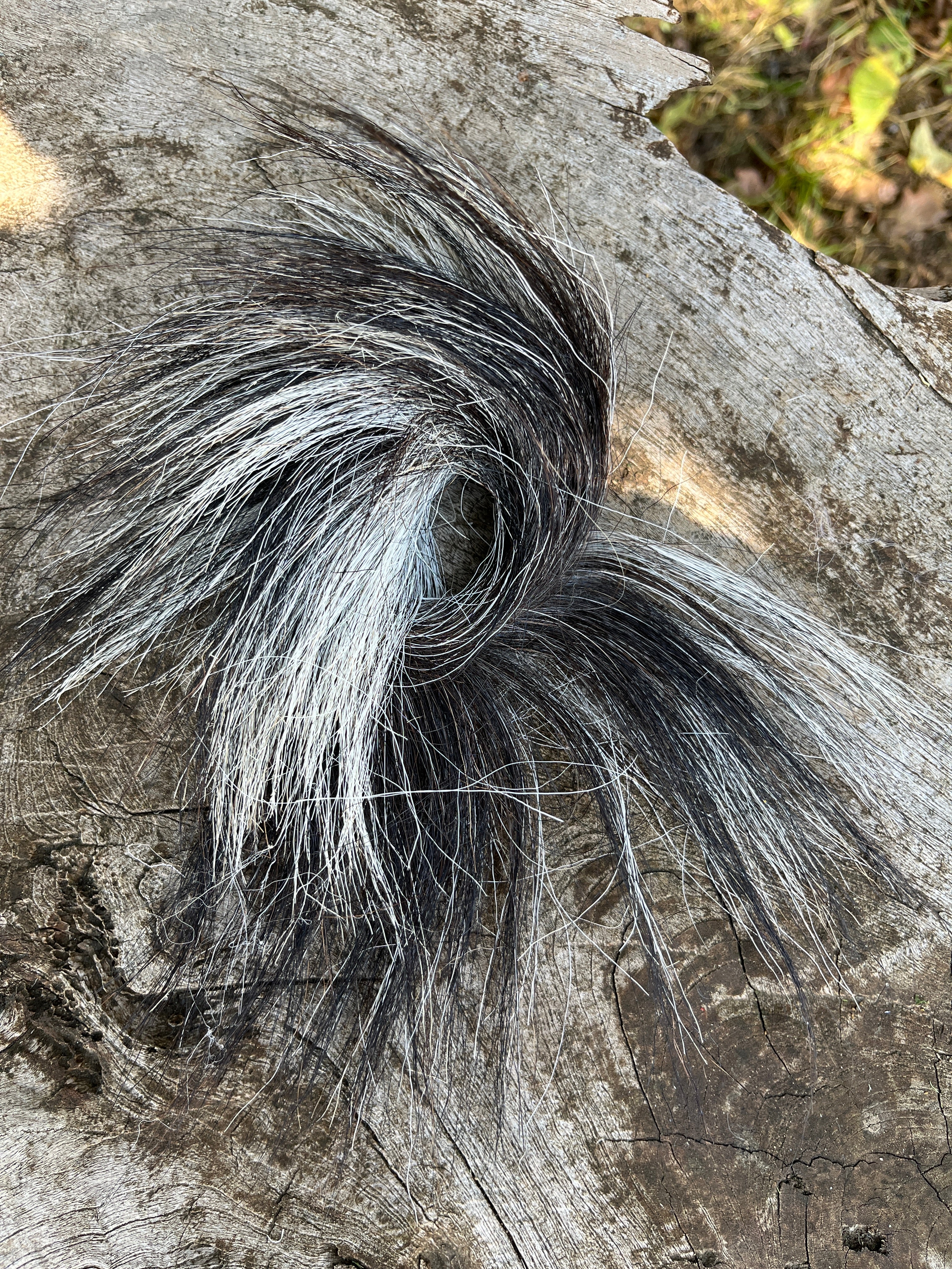 Premium Katzenspielzeug Ziegenring aus Ziegenfell