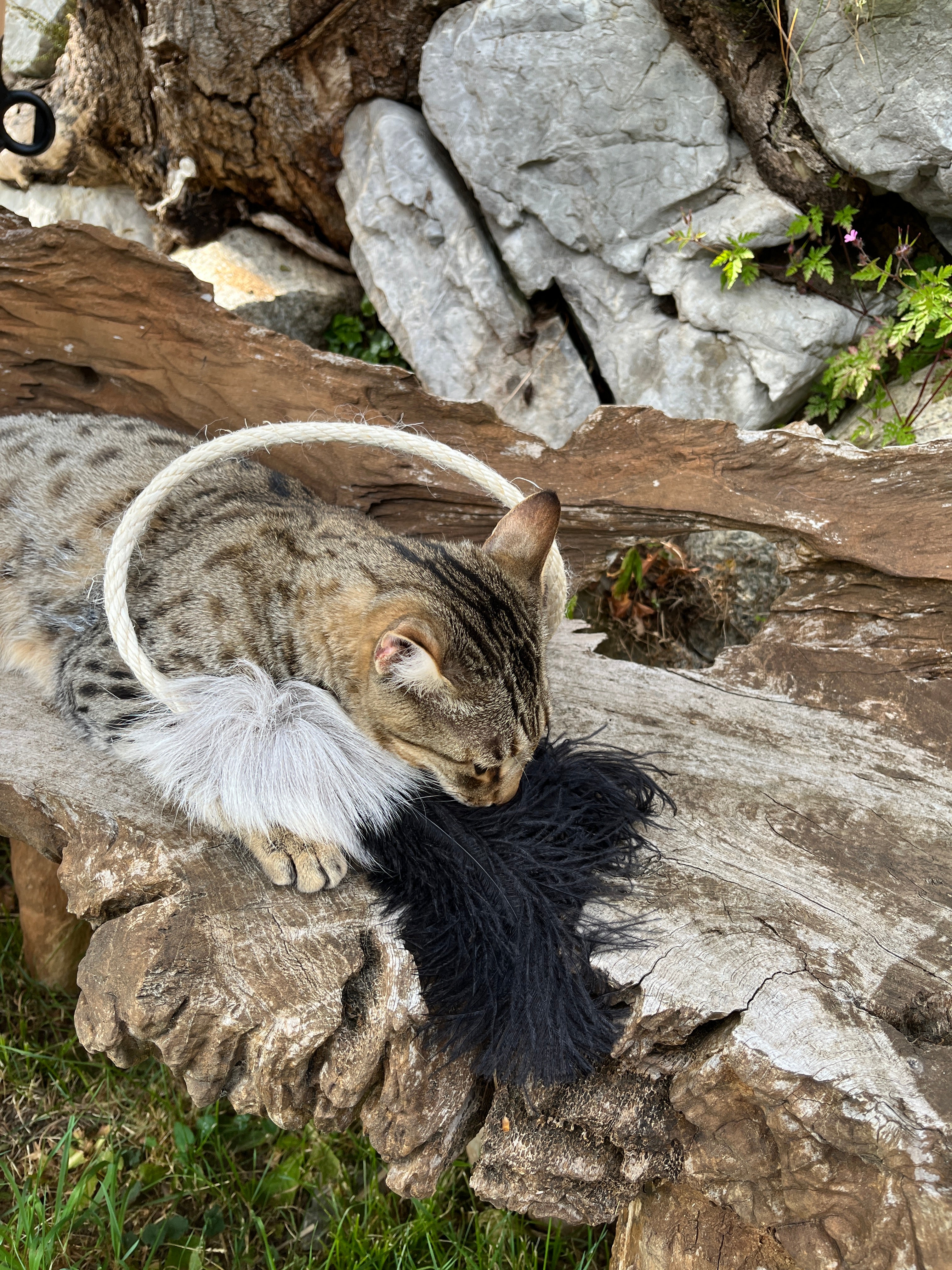 Premium Katzenspielzeug Anhänger 