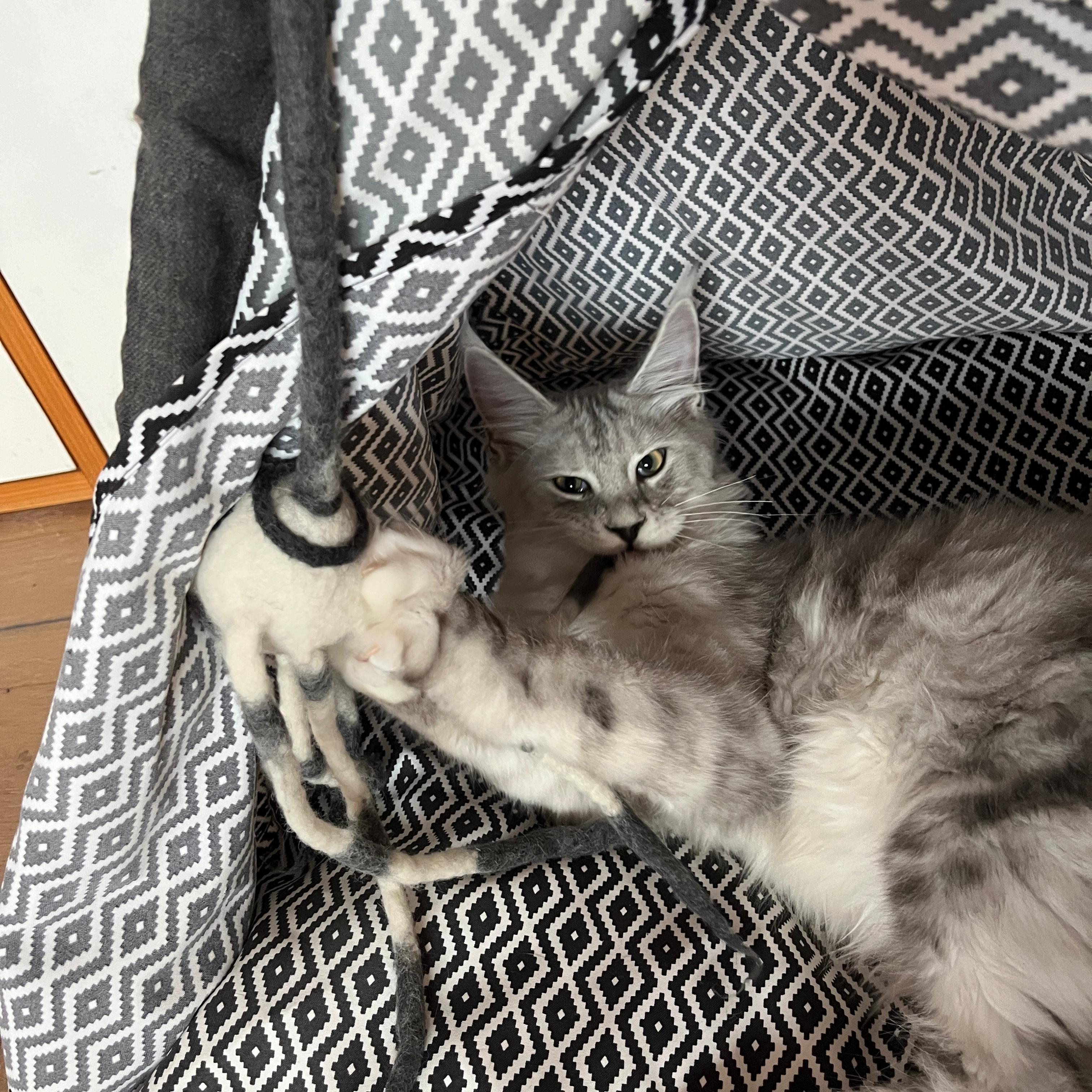 Premium Katzenspielzeug Filz-Tintenfisch “Marly” - aus 100 % Schafwolle & integrierter Klangkugel