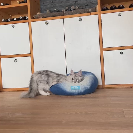 Katzenhöhle Filz – Handgefertigt aus 100 % Schafwolle Auge blau/weiss