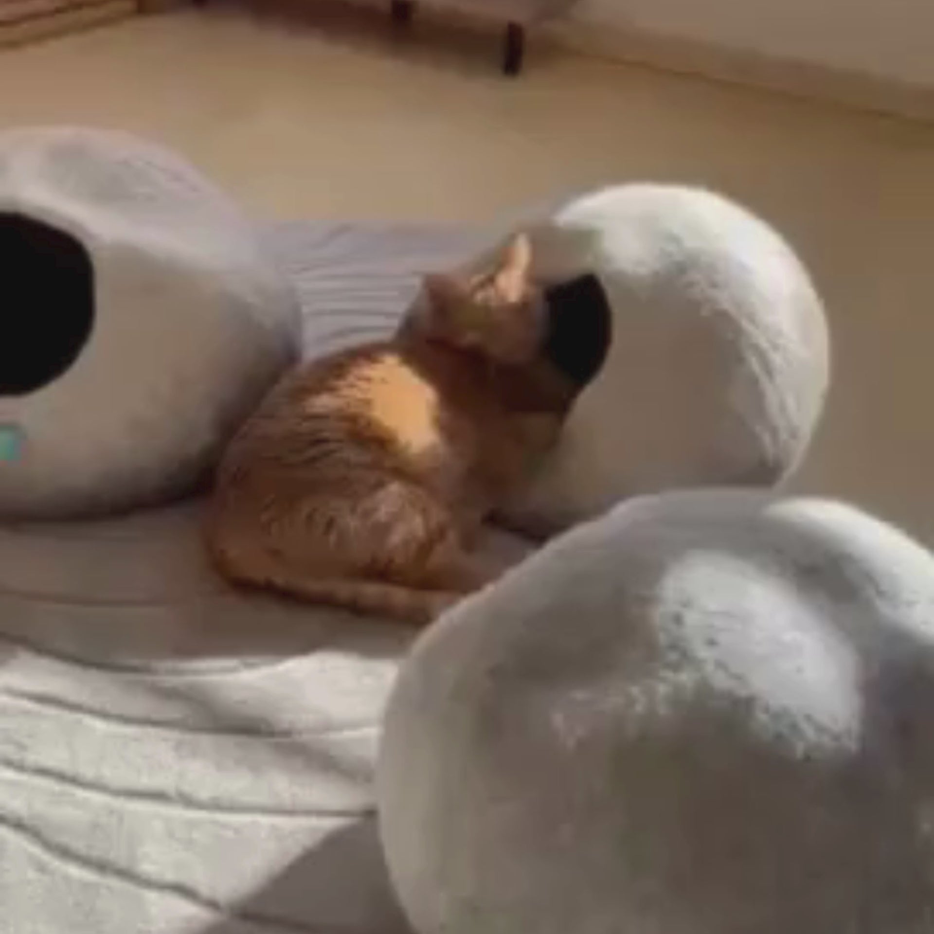 Katzenhöhle Filz – Handgefertigt aus 100 % Schafwolle beige rund