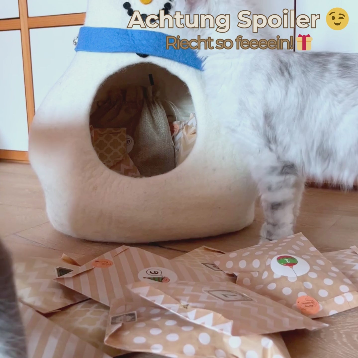 Nash&Co Adventskalender 2025: Premium & nachhaltige Katzenspielzeug-Überaschungen