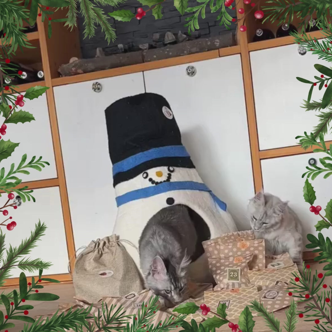 Nash&Co Adventskalender 2025: Premium & nachhaltige Katzenspielzeug-Überaschungen